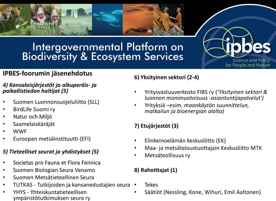 kansanedustajien seura YHYS - Yhteiskuntatieteellisen ympäristötutkimuksen seura ry 6) Yksityinen sektori (2-4) Yritysvastuuverkosto FIBS ry ( Yksityinen sektori & luonnon monimuotoisuus