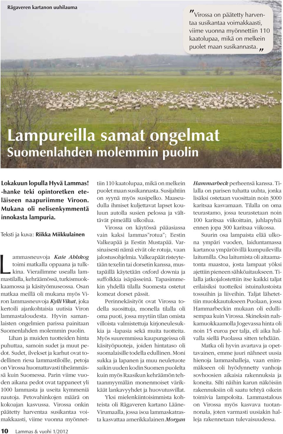 Teksti ja kuva: Riikka Miikkulainen 10 Lammas & vuohi 1/2012 Lammasneuvoja Kaie Ahlskog toimi matkalla oppaana ja tulkkina.