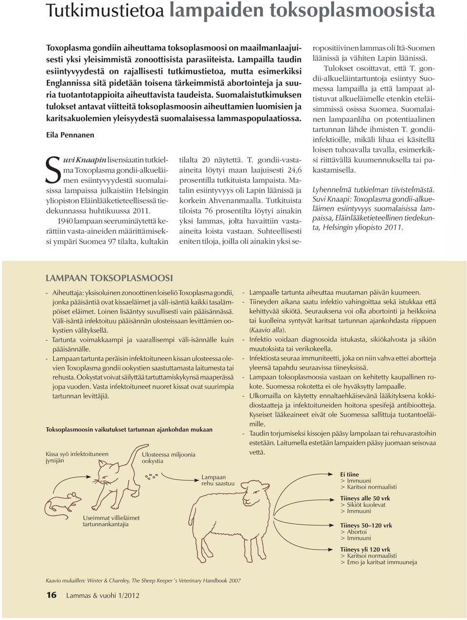 Suomalaistutkimuksen tulokset antavat viitteitä toksoplasmoosin aiheuttamien luomisien ja karitsakuolemien yleisyydestä suomalaisessa lammaspopulaatiossa.
