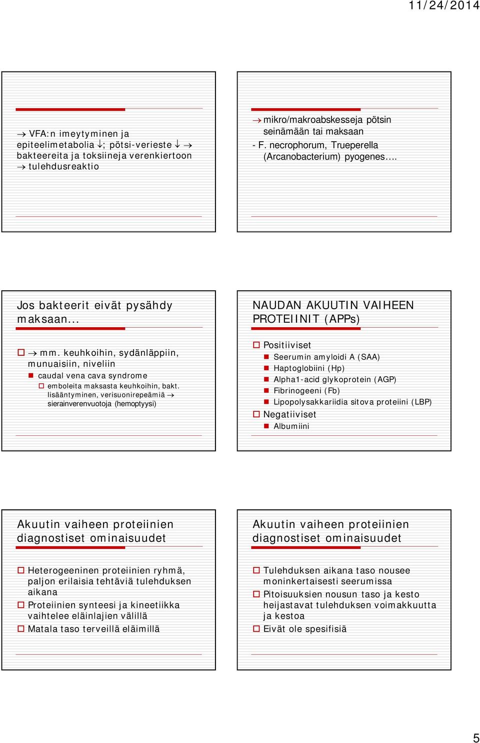 keuhkoihin, sydänläppiin, munuaisiin, niveliin caudal vena cava syndrome o emboleita maksasta keuhkoihin, bakt.