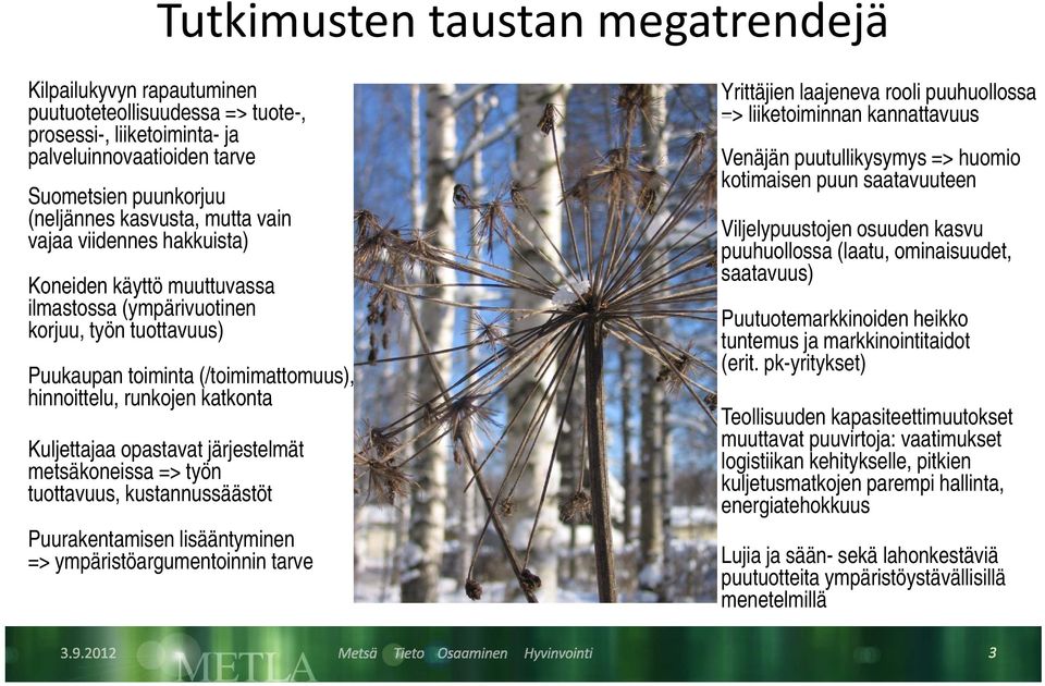 opastavat järjestelmät metsäkoneissa => työn tuottavuus, kustannussäästöt Puurakentamisen lisääntyminen => ympäristöargumentoinnin tarve Yrittäjien laajeneva rooli puuhuollossa => liiketoiminnan