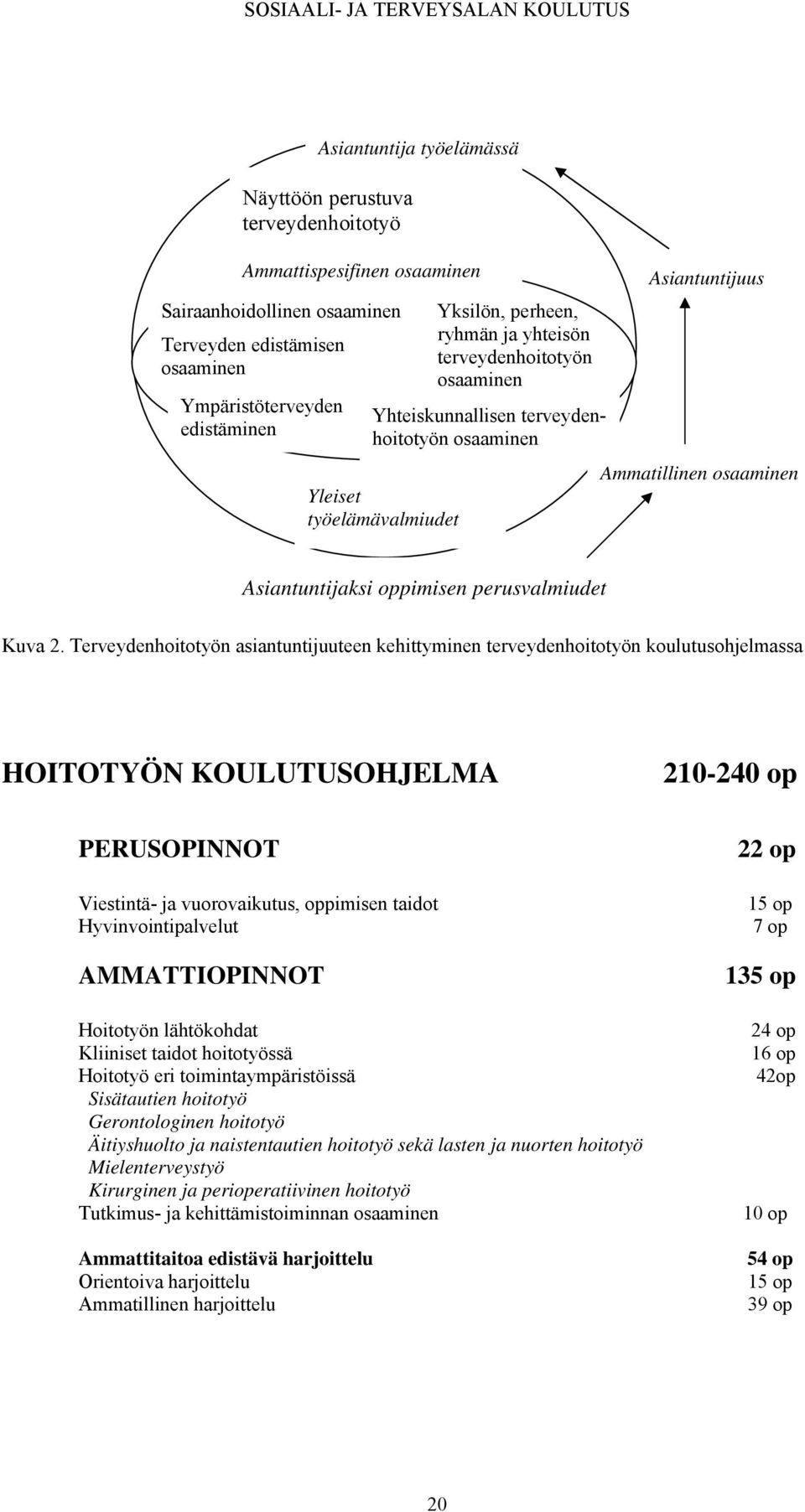 osaaminen Asiantuntijaksi oppimisen perusvalmiudet Kuva 2.