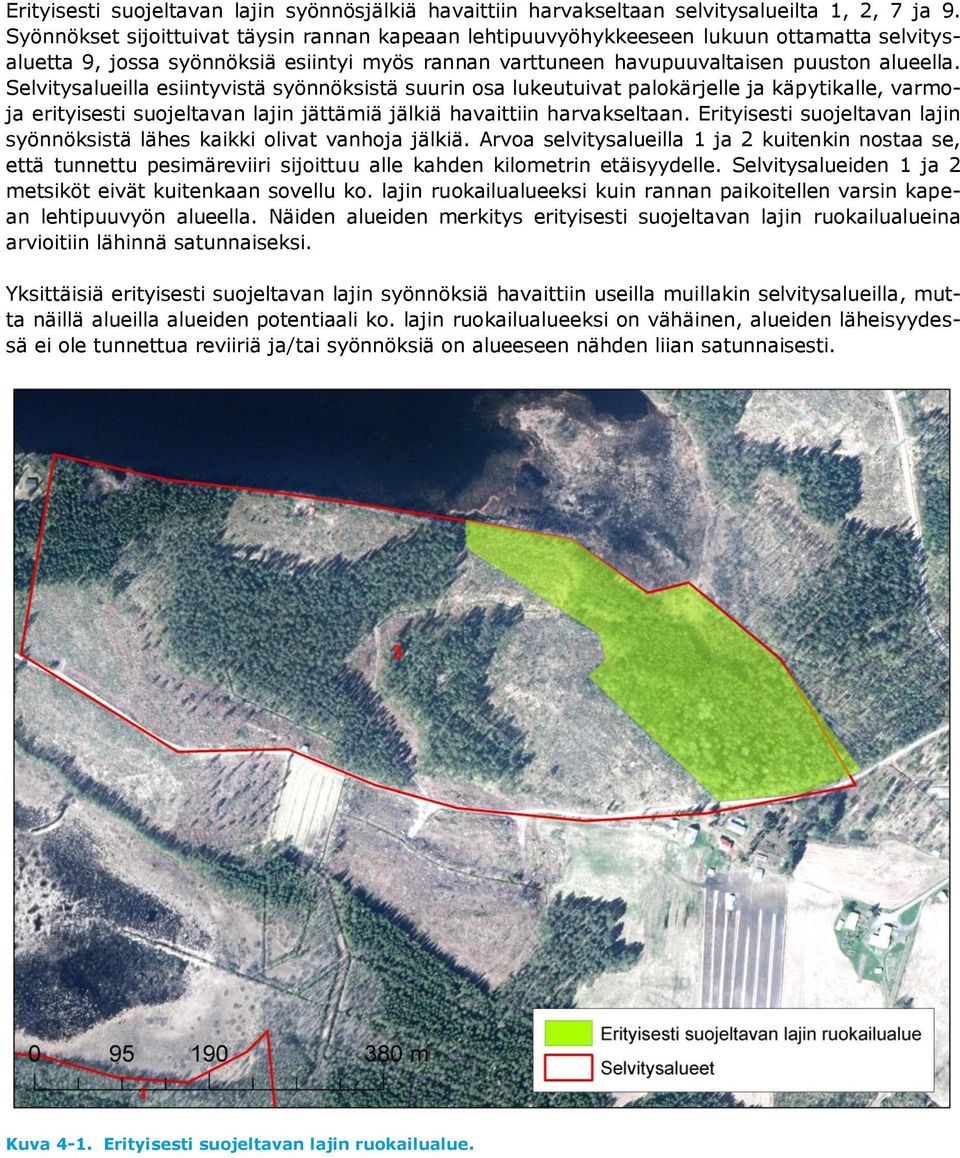 Selvitysalueilla esiintyvistä syönnöksistä suurin osa lukeutuivat palokärjelle ja käpytikalle, varmoja erityisesti suojeltavan lajin jättämiä jälkiä havaittiin harvakseltaan.