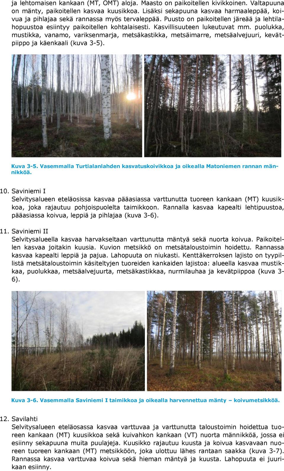 Kasvillisuuteen lukeutuvat mm. puolukka, mustikka, vanamo, variksenmarja, metsäkastikka, metsäimarre, metsäalvejuuri, kevätpiippo ja käenkaali (kuva 3-5). Kuva 3-5.