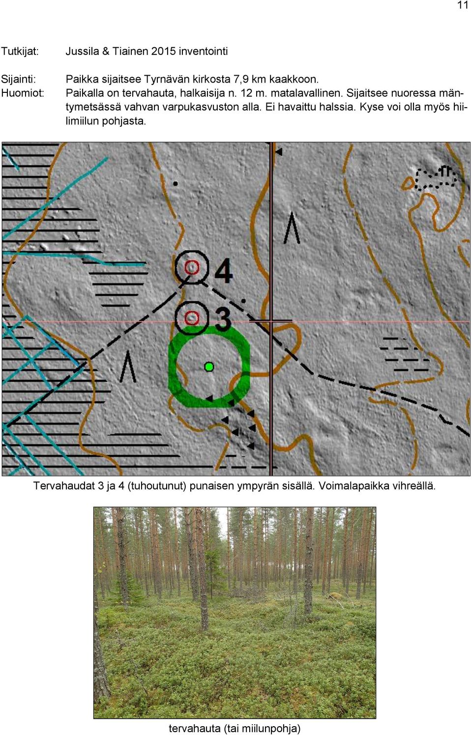 Sijaitsee nuoressa mäntymetsässä vahvan varpukasvuston alla. Ei havaittu halssia.