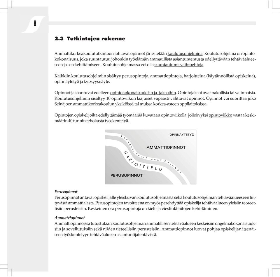 Koulutusohjelmassa voi olla suuntautumisvaihtoehtoja. Kaikkiin koulutusohjelmiin sisältyy perusopintoja, ammattiopintoja, harjoittelua (käytännöllistä opiskelua), opinnäytetyö ja kypsyysnäyte.