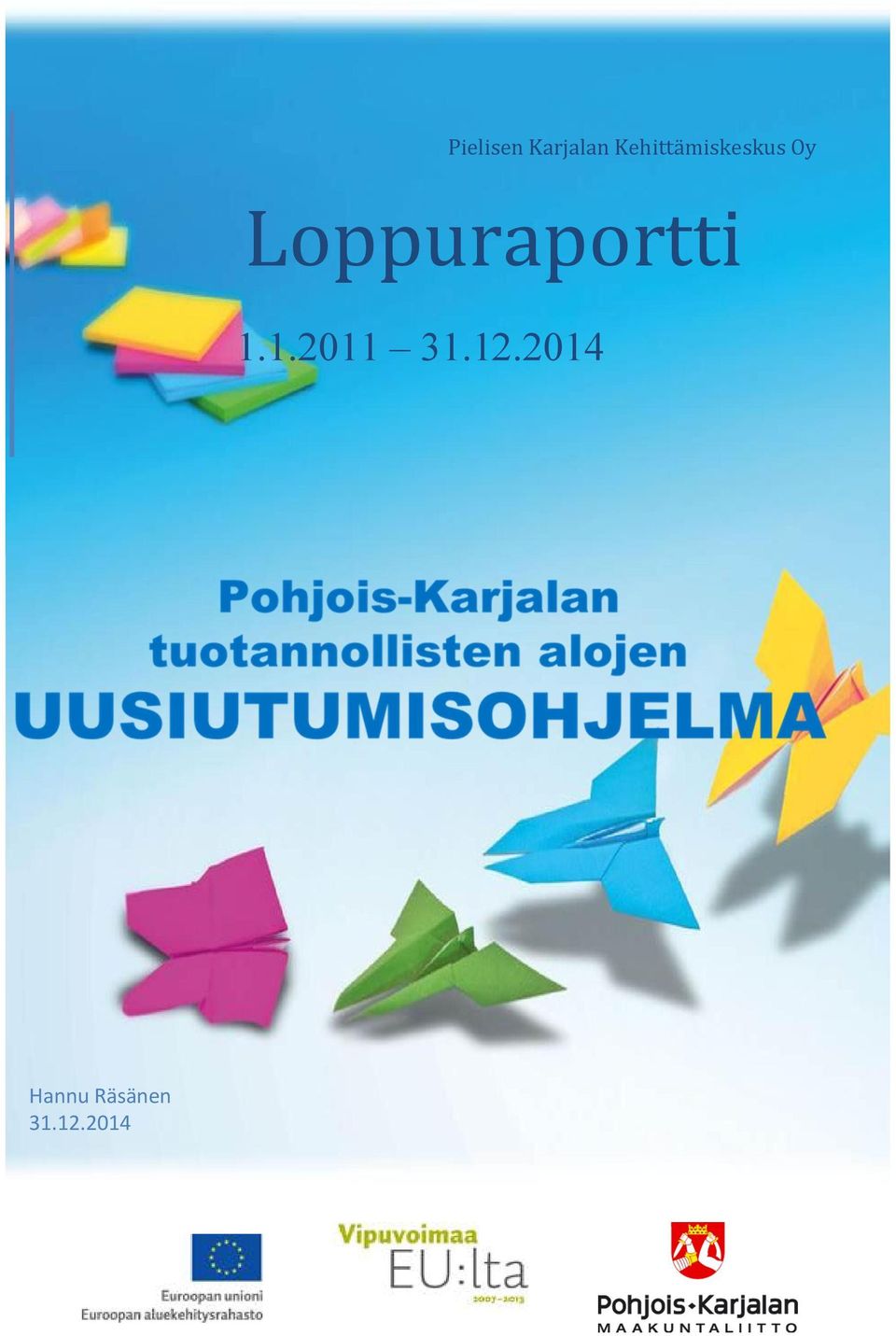 Loppuraportti 1.1.2011 31.