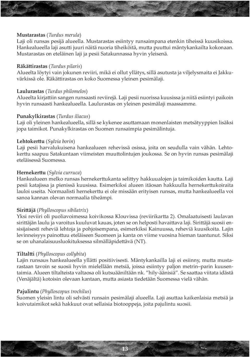 Räkättirastas (Turdus pilaris) Alueelta löytyi vain jokunen reviiri, mikä ei ollut yllätys, sillä asutusta ja viljelysmaita ei Jakkuvärkissä ole. Räkättirastas on koko Suomessa yleinen pesimälaji.