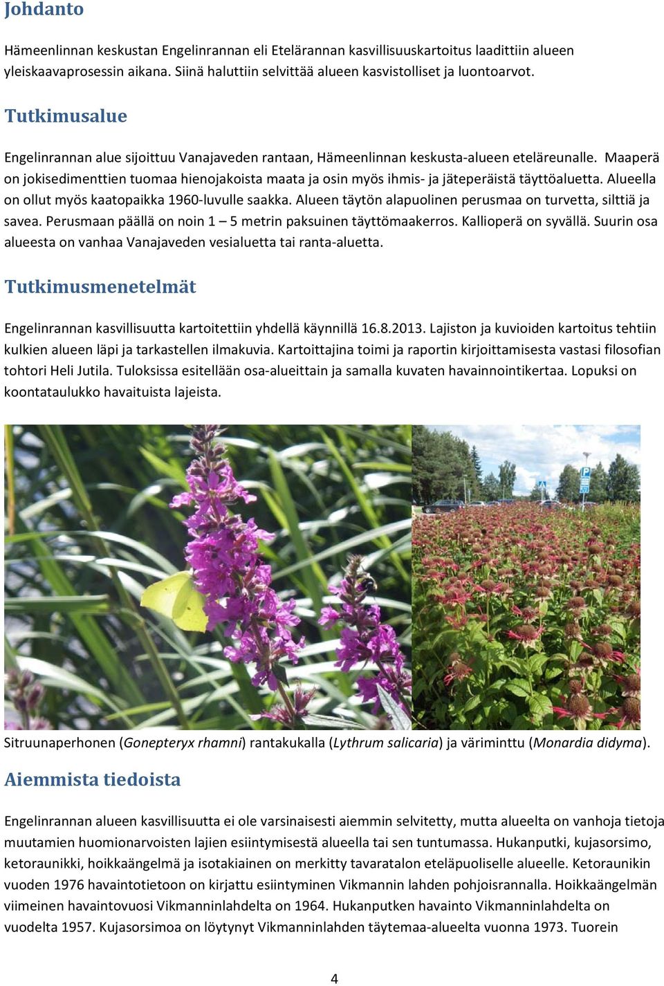 Maaperä on jokisedimenttien tuomaa hienojakoista maata ja osin myös ihmis ja jäteperäistä täyttöaluetta. Alueella on ollut myös kaatopaikka 1960 luvulle saakka.