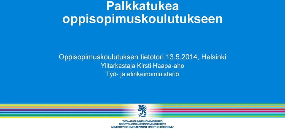 5.2014, Helsinki Ylitarkastaja