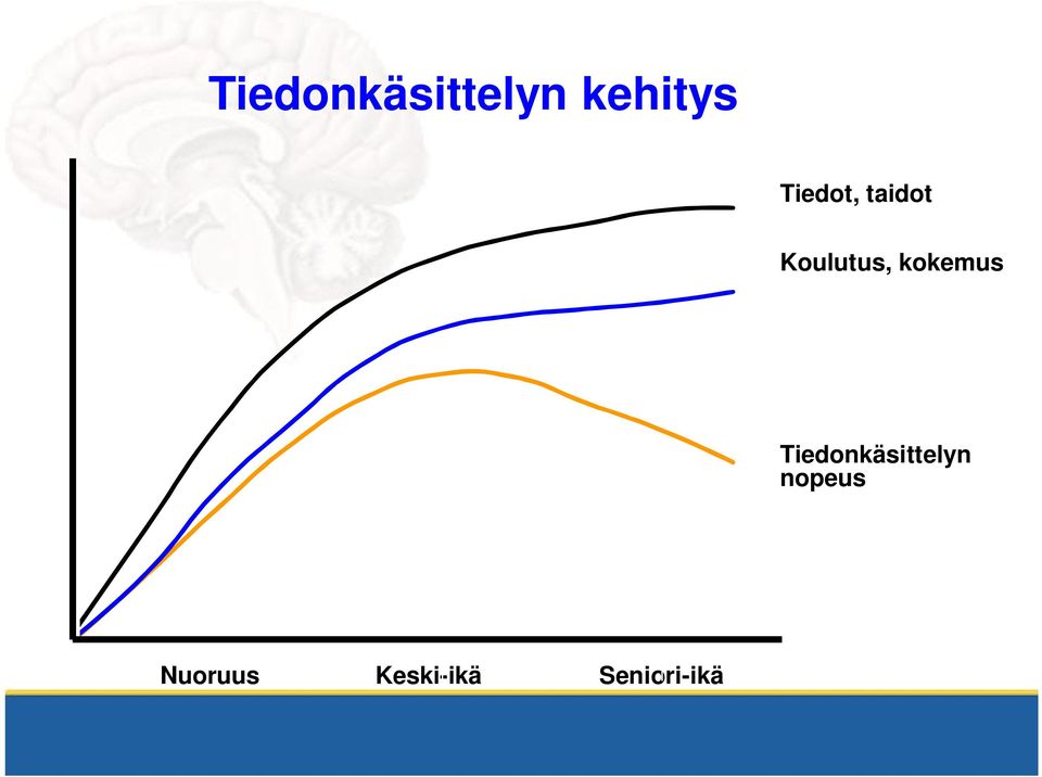 kokemus Tiedonkäsittelyn