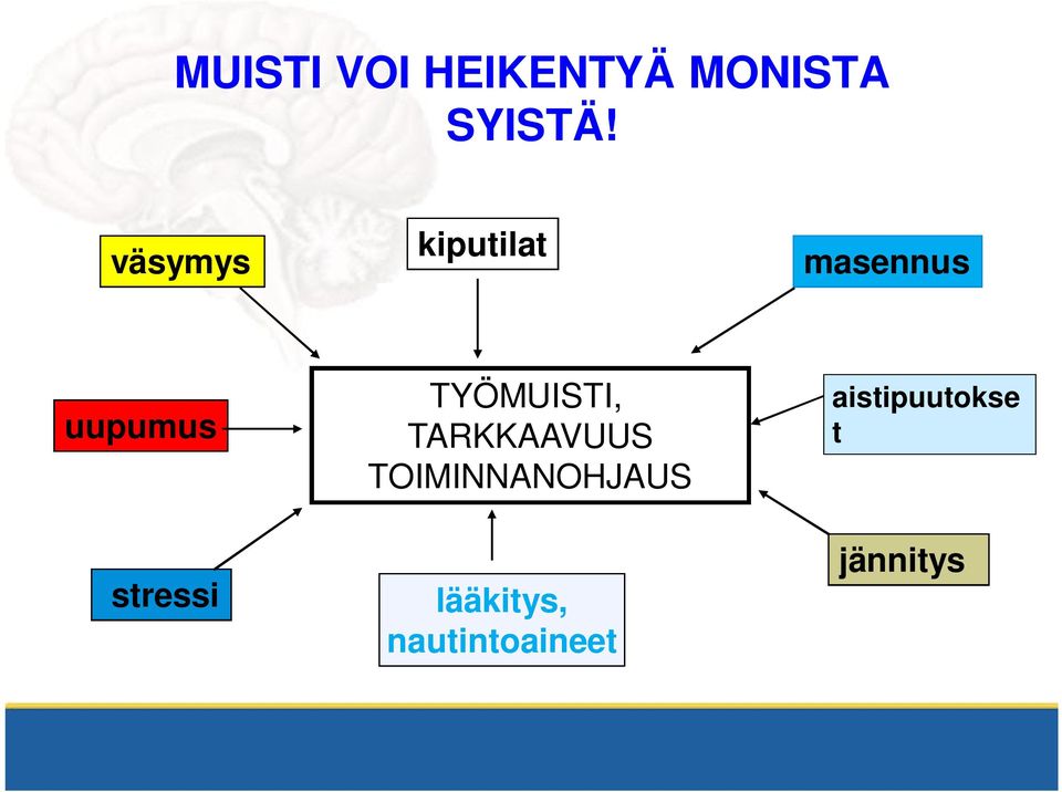 stressi TYÖMUISTI, TARKKAAVUUS