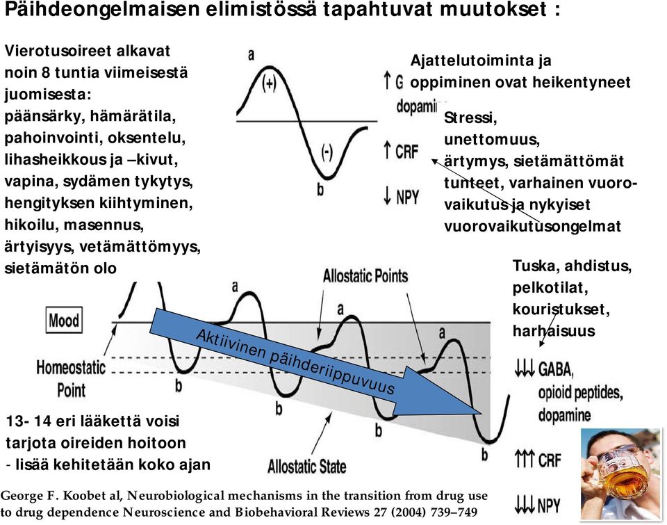 sietämättömät tunteet, varhainen vuorovaikutus ja nykyiset vuorovaikutusongelmat Tuska, ahdistus, pelkotilat, kouristukset, harhaisuus Aktiivinen päihderiippuvuus 13-14 eri lääkettä voisi