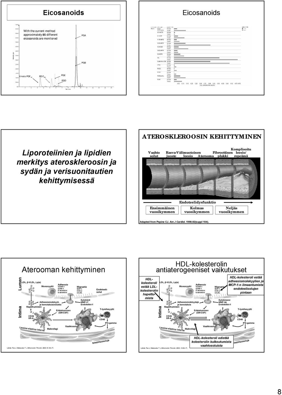 Endoteelidysfunktio Kolmas vuosikymmen Neljäs vuosikymmen Adapted from Pepine CJ. Am J Cardiol. 1998;82(suppl 104).