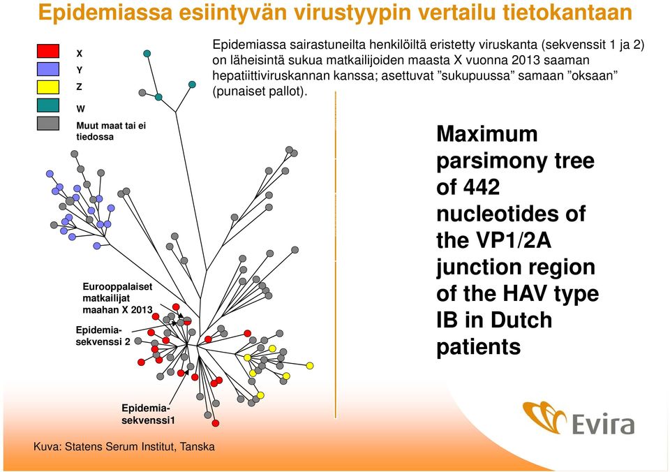 Epidemiassa esiintyvän virustyypin vertailu tietokantaan Y Z W Muut maat tai ei tiedossa Eurooppalaiset matkailijat maahan 2013 Epidemiasekvenssi 2 Epidemiassa sairastuneilta henkilöiltä eristetty