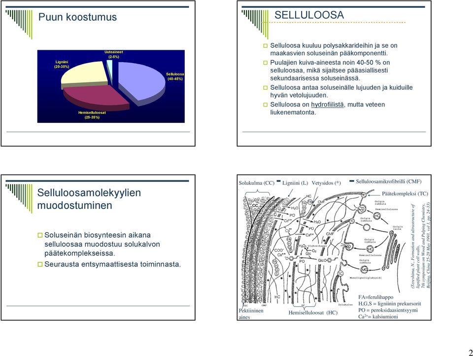 Hemiselluloosat (25-35%) Selluloosa antaa soluseinälle lujuuden ja kuiduille hyvän vetolujuuden. Selluloosa on hydrofiilistä, mutta veteen liukenematonta.