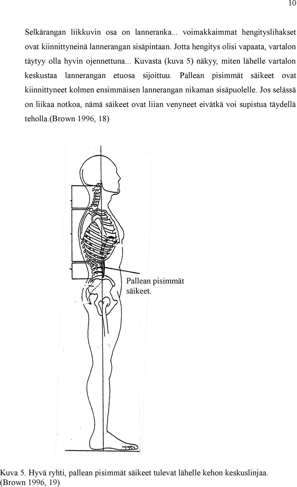 .. Kuvasta (kuva 5) näkyy, miten lähelle vartalon keskustaa lannerangan etuosa sijoittuu.