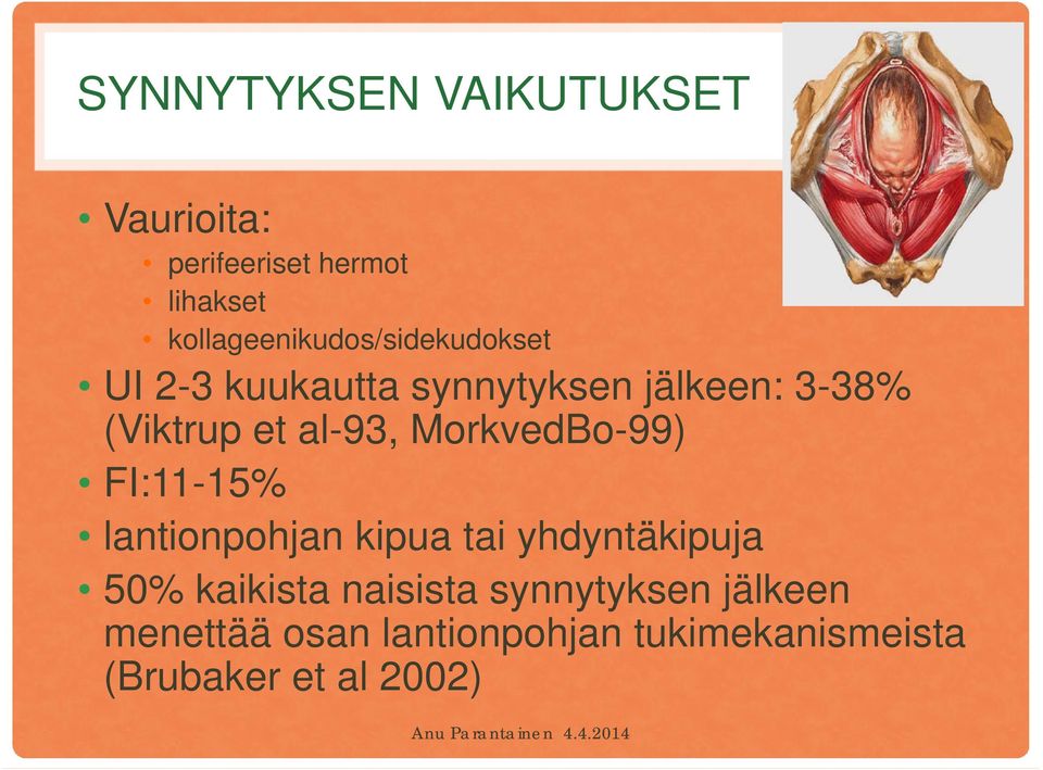 et al-93, MorkvedBo-99) FI:11-15% lantionpohjan kipua tai yhdyntäkipuja 50%