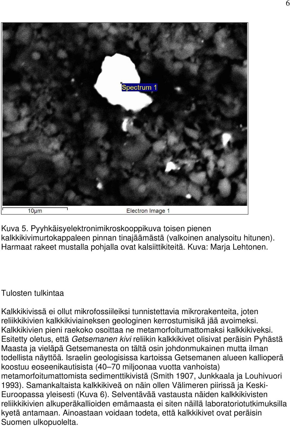 Kalkkikivien pieni raekoko osoittaa ne metamorfoitumattomaksi kalkkikiveksi.