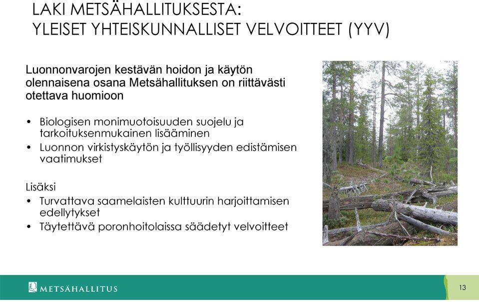 suojelu ja tarkoituksenmukainen lisääminen Luonnon virkistyskäytön ja työllisyyden edistämisen vaatimukset