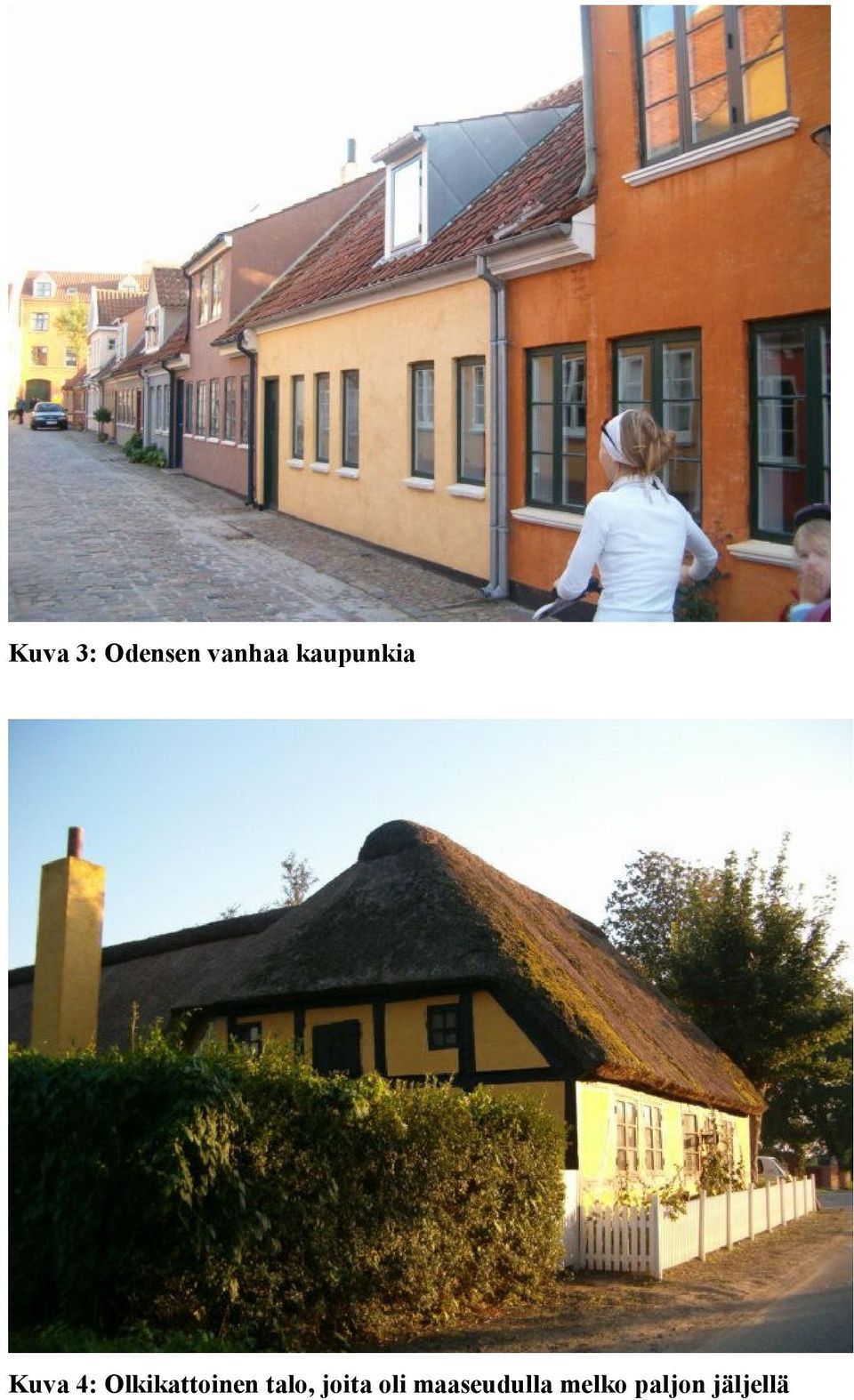 Olkikattoinen talo, joita