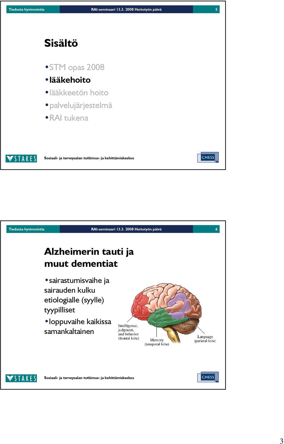 palvelujärjestelmä RAI tukena 3.