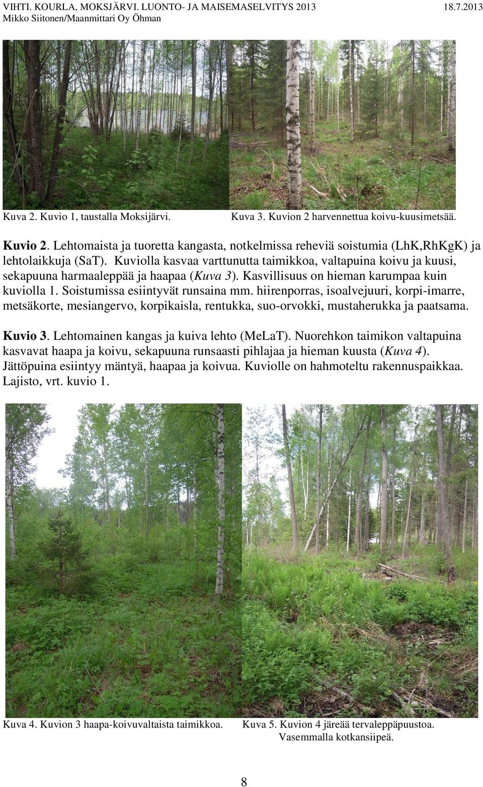 hiirenporras, isoalvejuuri, korpi-imarre, metsäkorte, mesiangervo, korpikaisla, rentukka, suo-orvokki, mustaherukka ja paatsama. Kuvio 3. Lehtomainen kangas ja kuiva lehto (MeLaT).