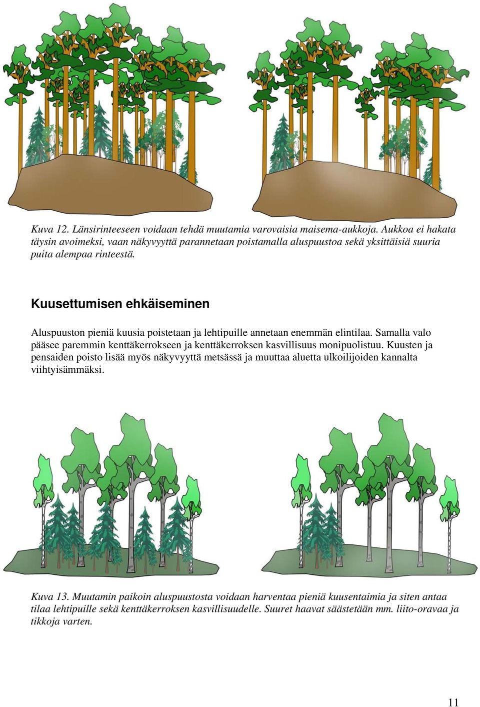 Kuusettumisen ehkäiseminen Aluspuuston pieniä kuusia poistetaan ja lehtipuille annetaan enemmän elintilaa.