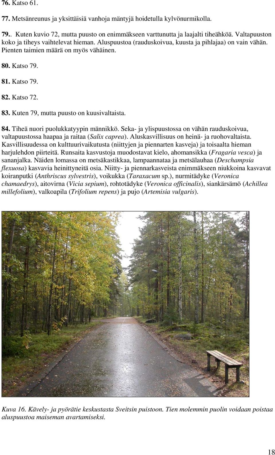 Kuten 79, mutta puusto on kuusivaltaista. 84. Tiheä nuori puolukkatyypin männikkö. Seka- ja ylispuustossa on vähän rauduskoivua, valtapuustossa haapaa ja raitaa (Salix caprea).