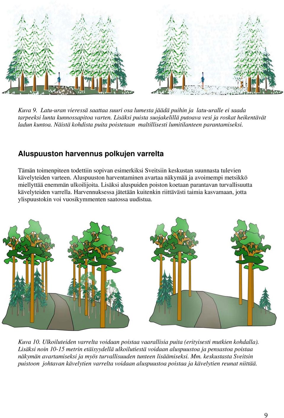 Aluspuuston harvennus polkujen varrelta Tämän toimenpiteen todettiin sopivan esimerkiksi Sveitsiin keskustan suunnasta tulevien kävelyteiden varteen.