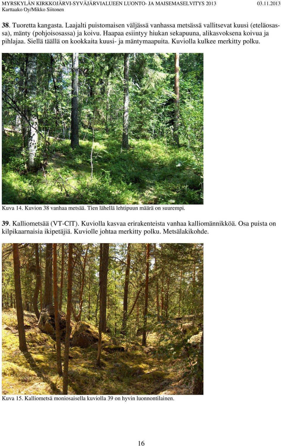 Kuva 14. Kuvion 38 vanhaa metsää. Tien lähellä lehtipuun määrä on suurempi. 39. Kalliometsää (VT-ClT).