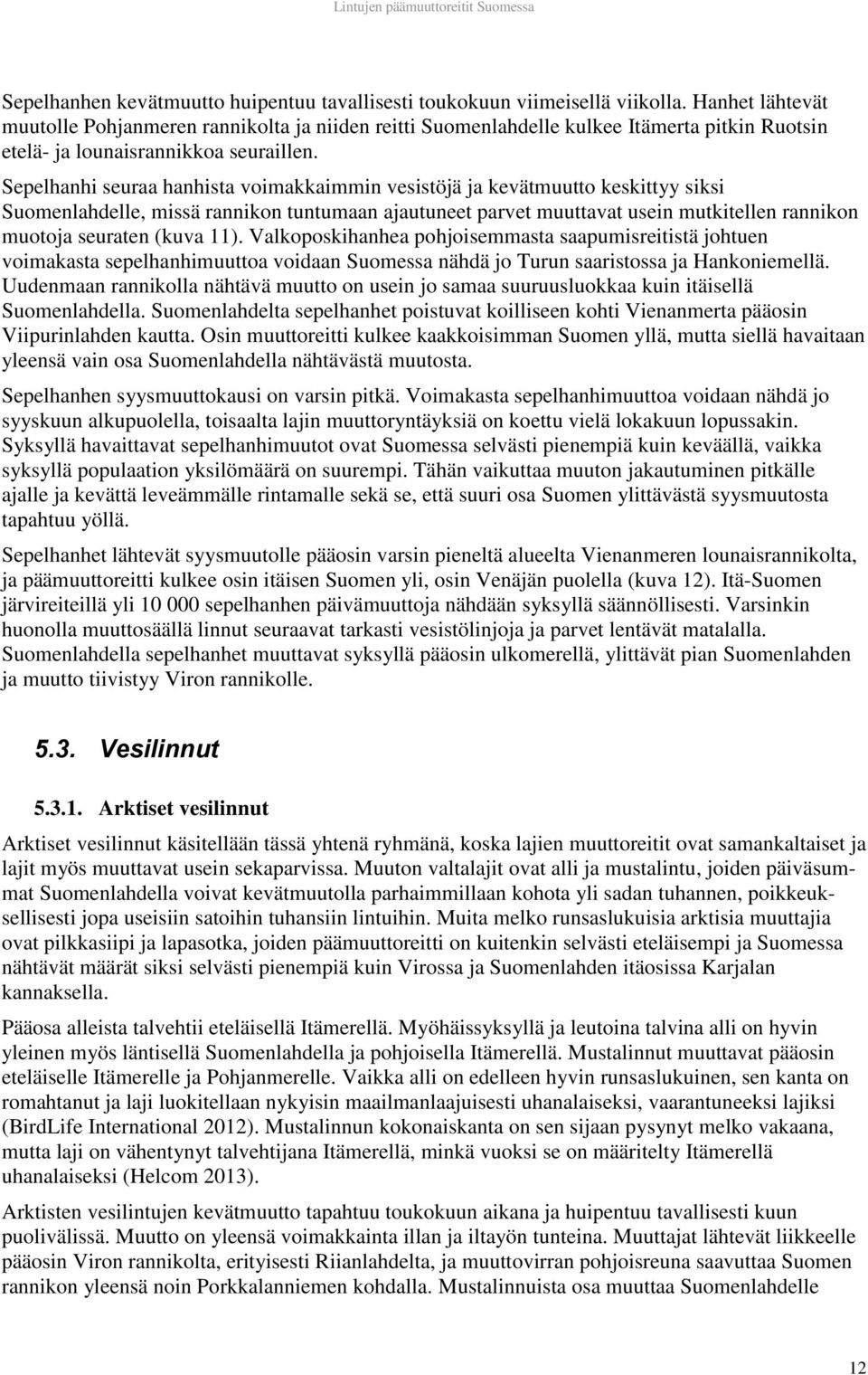 Sepelhanhi seuraa hanhista voimakkaimmin vesistöjä ja kevätmuutto keskittyy siksi Suomenlahdelle, missä rannikon tuntumaan ajautuneet parvet muuttavat usein mutkitellen rannikon muotoja seuraten