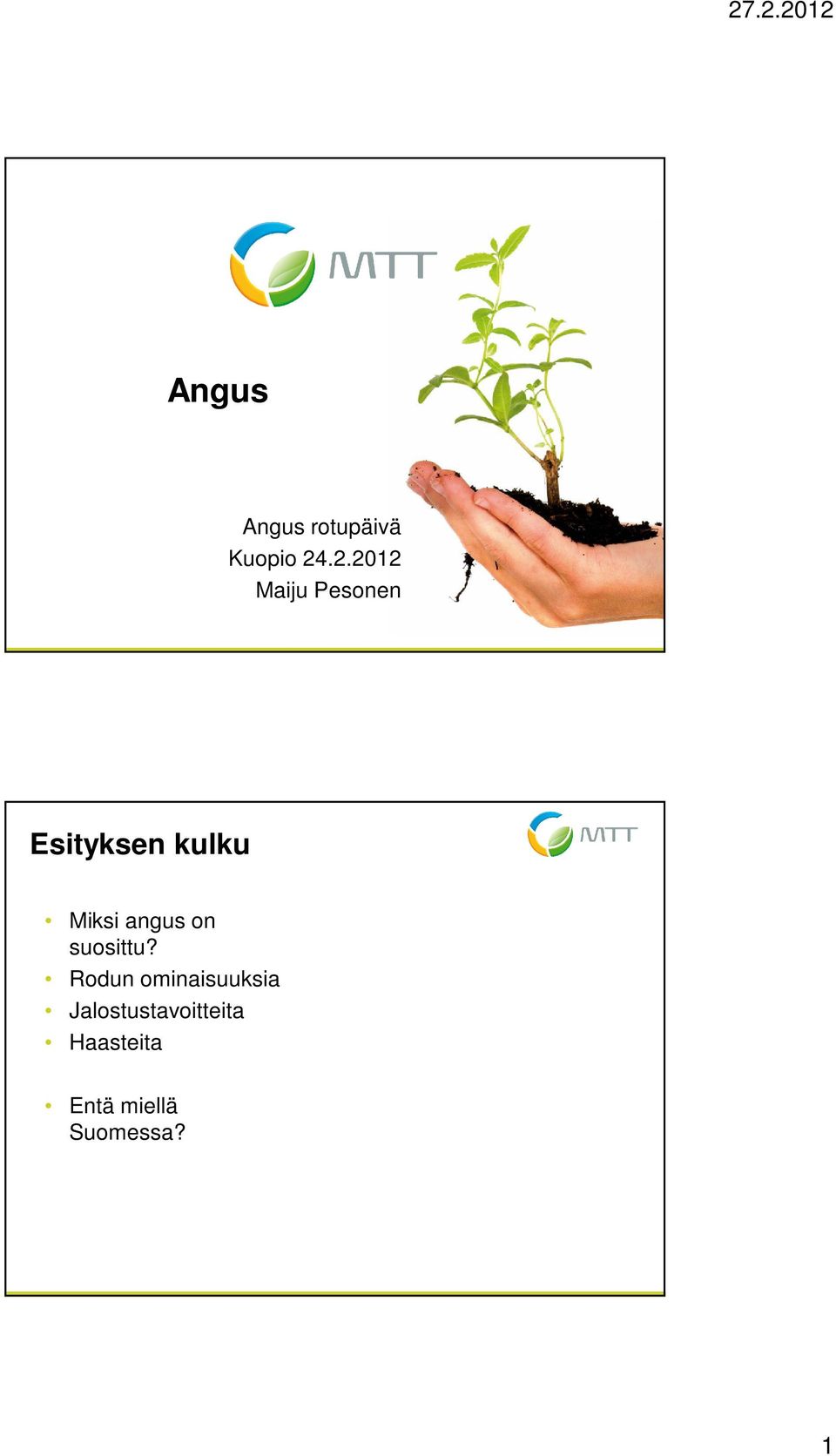 Miksi angus on suosittu?