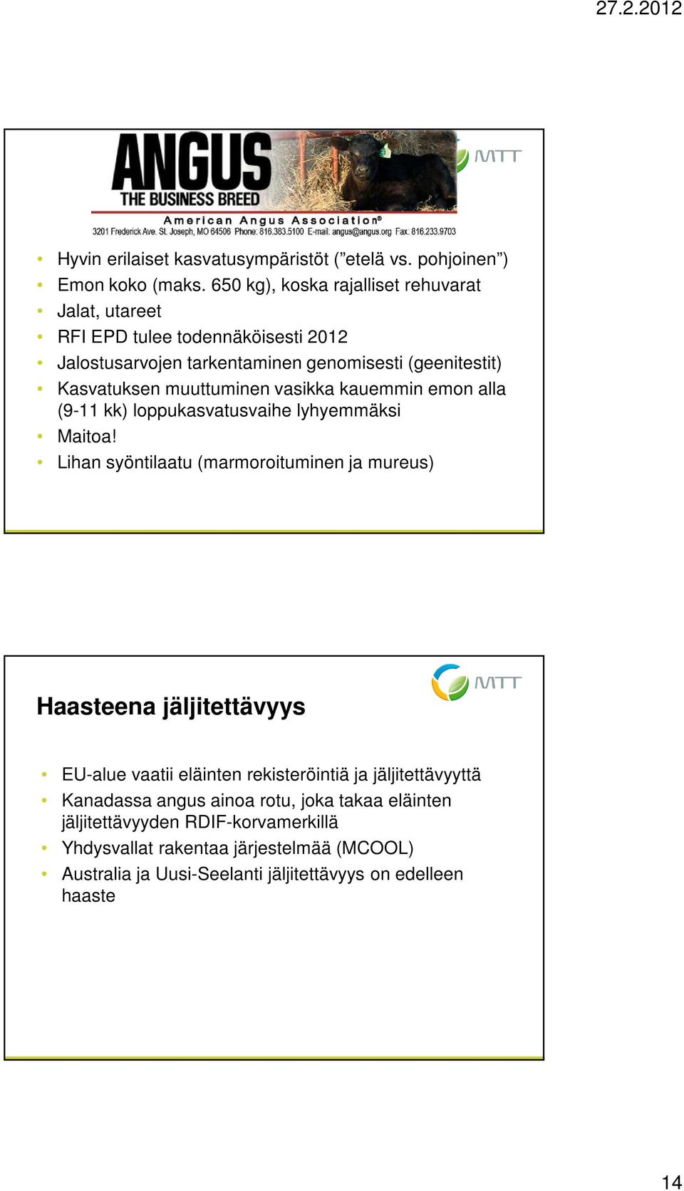 muuttuminen vasikka kauemmin emon alla (9-11 kk) loppukasvatusvaihe lyhyemmäksi Maitoa!