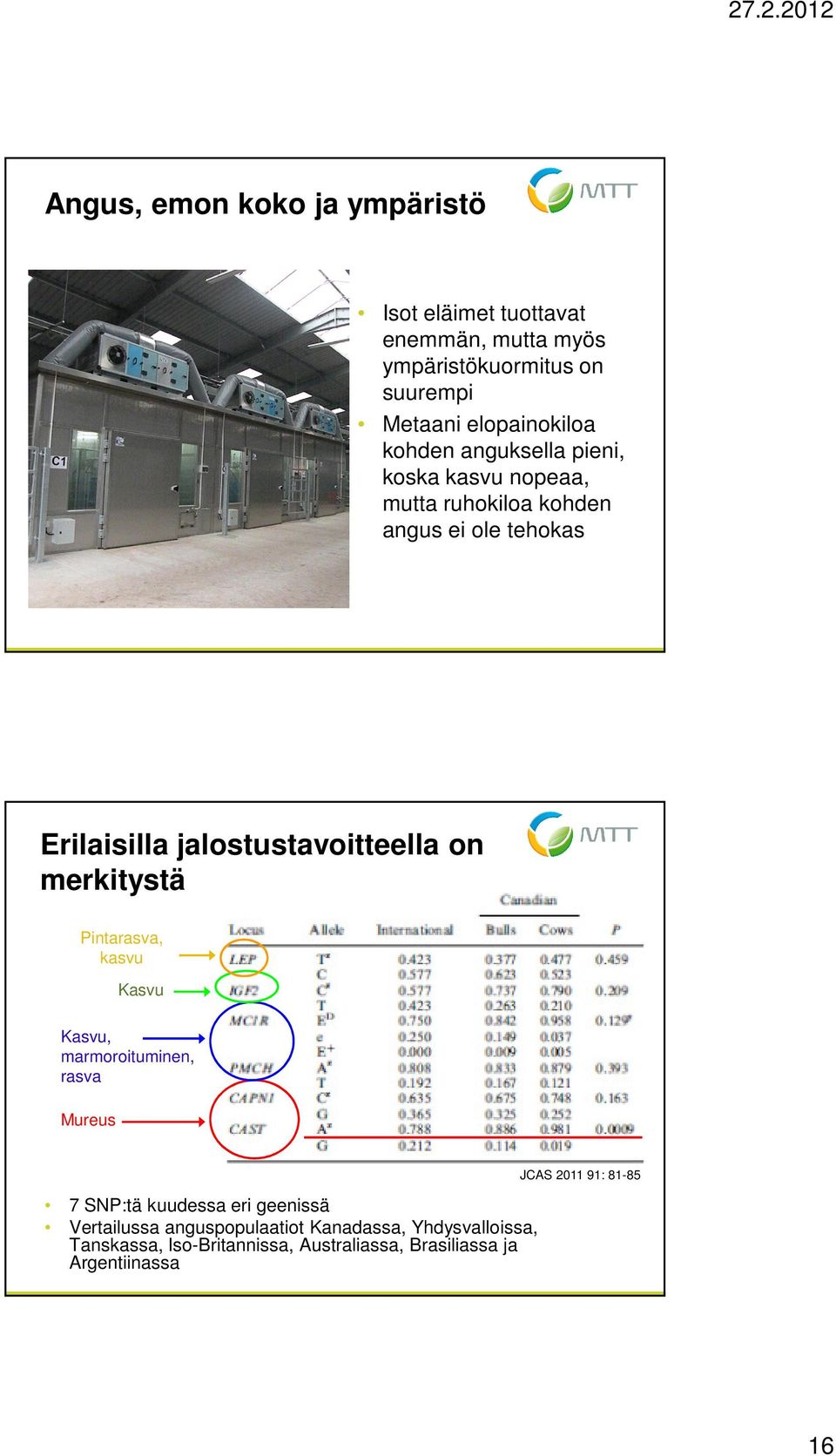merkitystä Pintarasva, kasvu Kasvu Kasvu, marmoroituminen, rasva Mureus 7 SNP:tä kuudessa eri geenissä Vertailussa