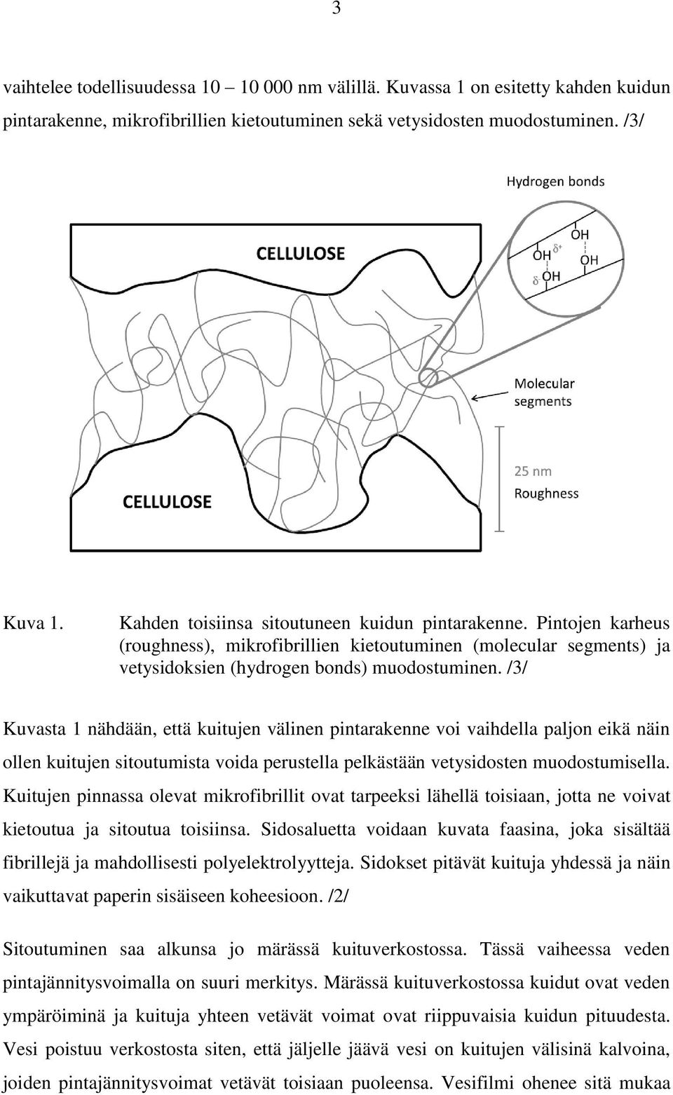 /3/ Kuvasta 1 nähdään, että kuitujen välinen pintarakenne voi vaihdella paljon eikä näin ollen kuitujen sitoutumista voida perustella pelkästään vetysidosten muodostumisella.