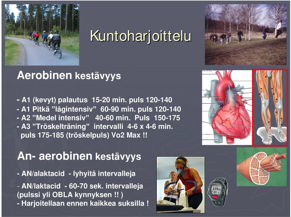 Puls 150-175 - A3 Tröskelträning intervalli 4-6 x 4-6 min. puls 175-185 (tröskelpuls) Vo2 Max!