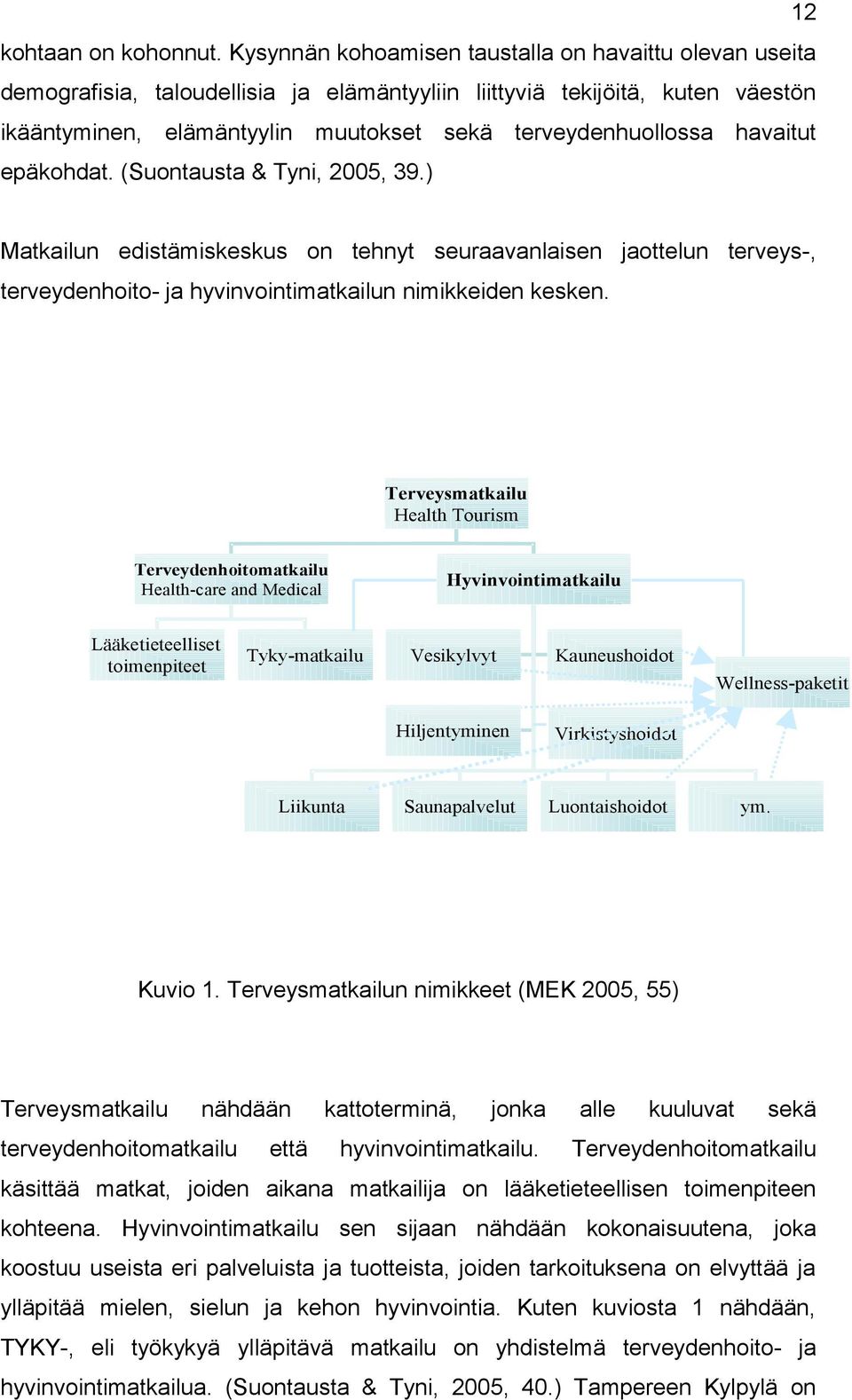 havaitut epäkohdat. (Suontausta & Tyni, 2005, 39.) Matkailun edistämiskeskus on tehnyt seuraavanlaisen jaottelun terveys-, terveydenhoito- ja hyvinvointimatkailun nimikkeiden kesken.