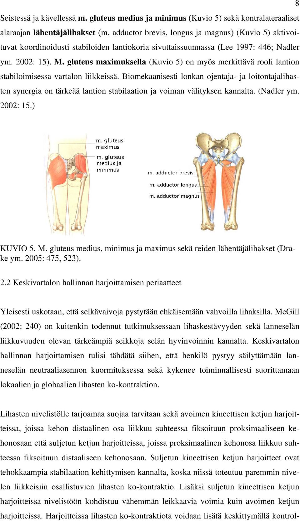 gluteus maximuksella (Kuvio 5) on myös merkittävä rooli lantion stabiloimisessa vartalon liikkeissä.