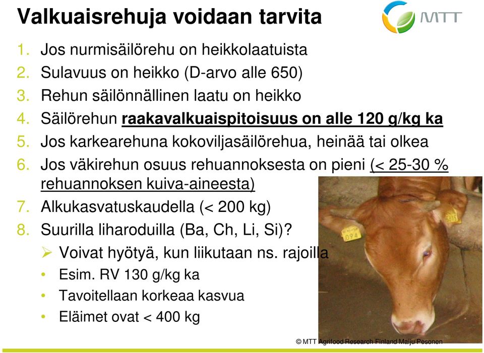 Jos karkearehuna kokoviljasäilörehua, heinää tai olkea 6.