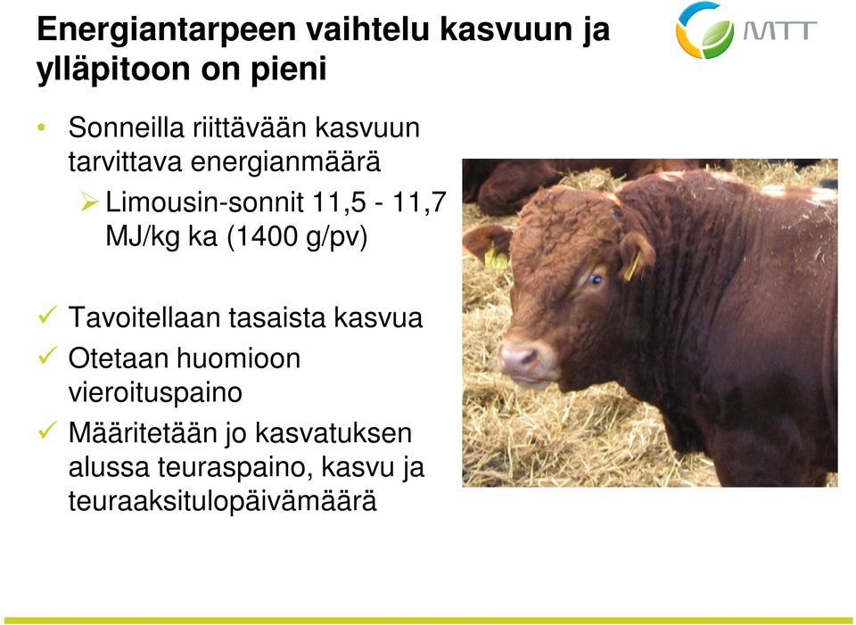 MJ/kg ka (1400 g/pv) Tavoitellaan tasaista kasvua Otetaan huomioon