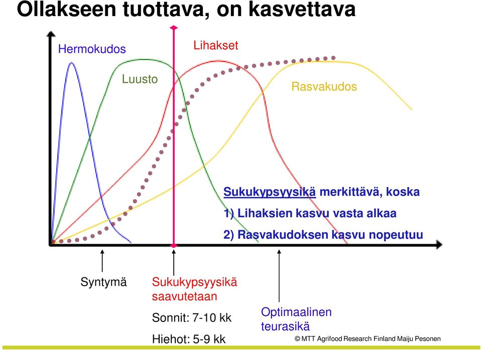 vasta alkaa 2) Rasvakudoksen kasvu nopeutuu Syntymä