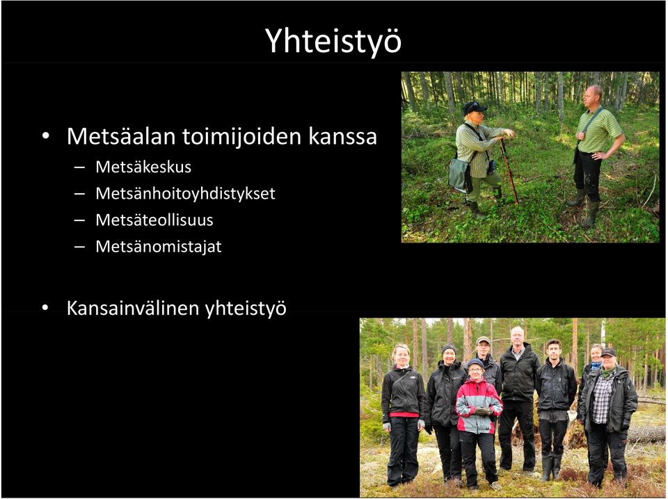 Metsänhoitoyhdistykset hd