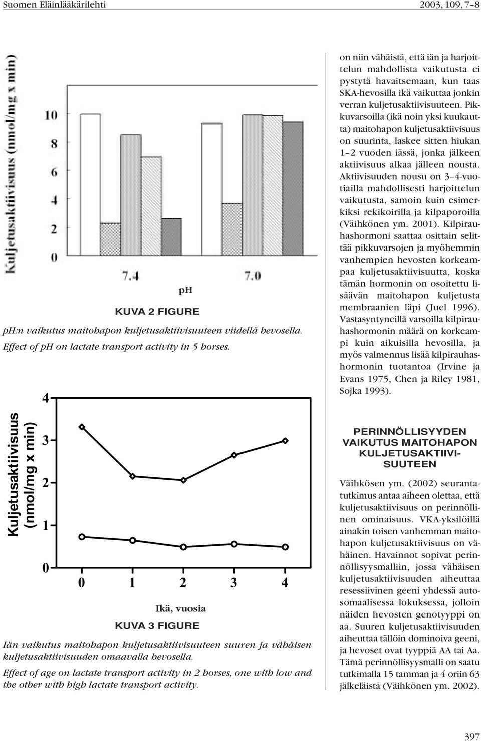 Effect of age on lactate transport activity in 2 horses, one with low and the other with high lactate transport activity.