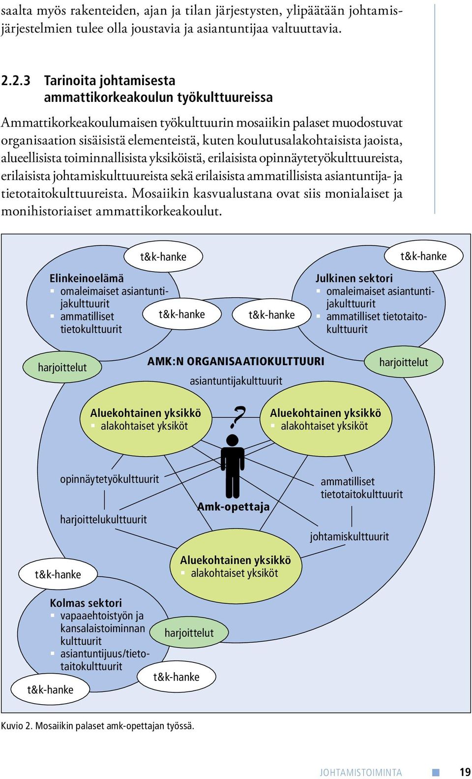 koulutusalakohtaisista jaoista, alueellisista toiminnallisista yksiköistä, erilaisista opinnäytetyökulttuureista, erilaisista johtamiskulttuureista sekä erilaisista ammatillisista asiantuntija- ja