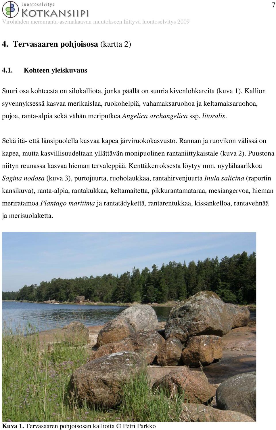 Sekä itä- että länsipuolella kasvaa kapea järviruokokasvusto. Rannan ja ruovikon välissä on kapea, mutta kasvillisuudeltaan yllättävän monipuolinen rantaniittykaistale (kuva 2).