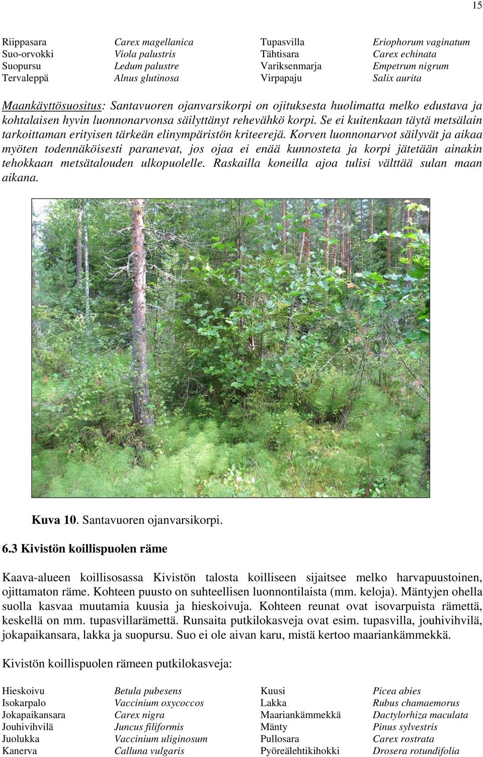 Se ei kuitenkaan täytä metsälain tarkoittaman erityisen tärkeän elinympäristön kriteerejä.