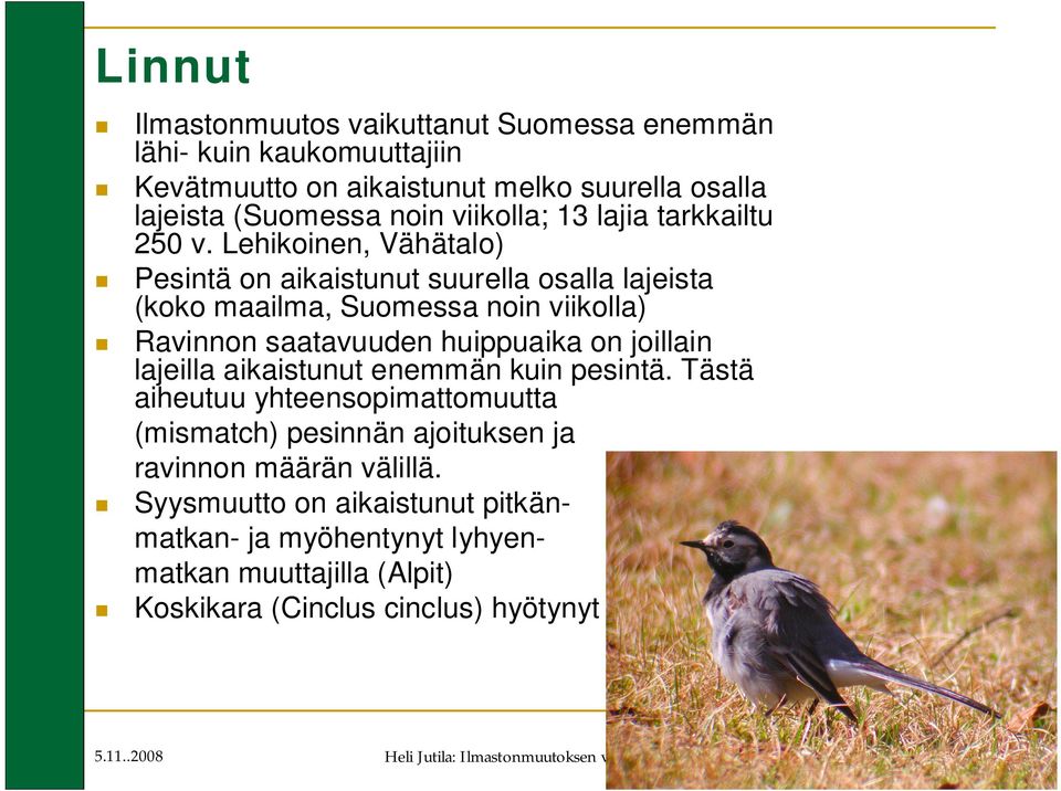 Lehikoinen, Vähätalo) Pesintä on aikaistunut suurella osalla lajeista (koko maailma, Suomessa noin viikolla) Ravinnon saatavuuden huippuaika on