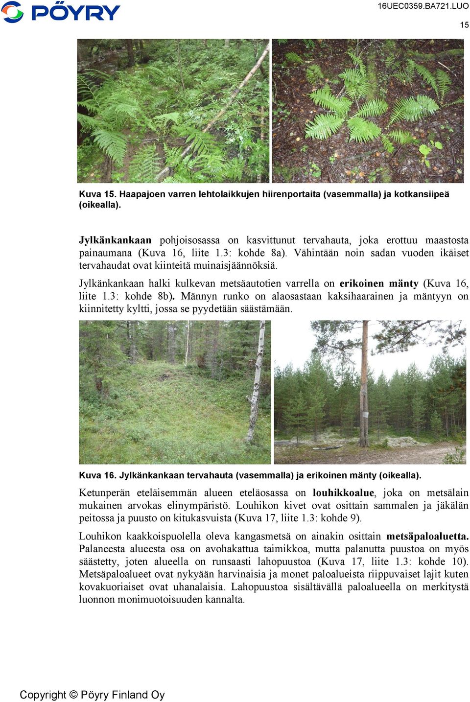 Vähintään noin sadan vuoden ikäiset tervahaudat ovat kiinteitä muinaisjäännöksiä. Jylkänkankaan halki kulkevan metsäautotien varrella on erikoinen mänty (Kuva 16, liite 1.3: kohde 8b).