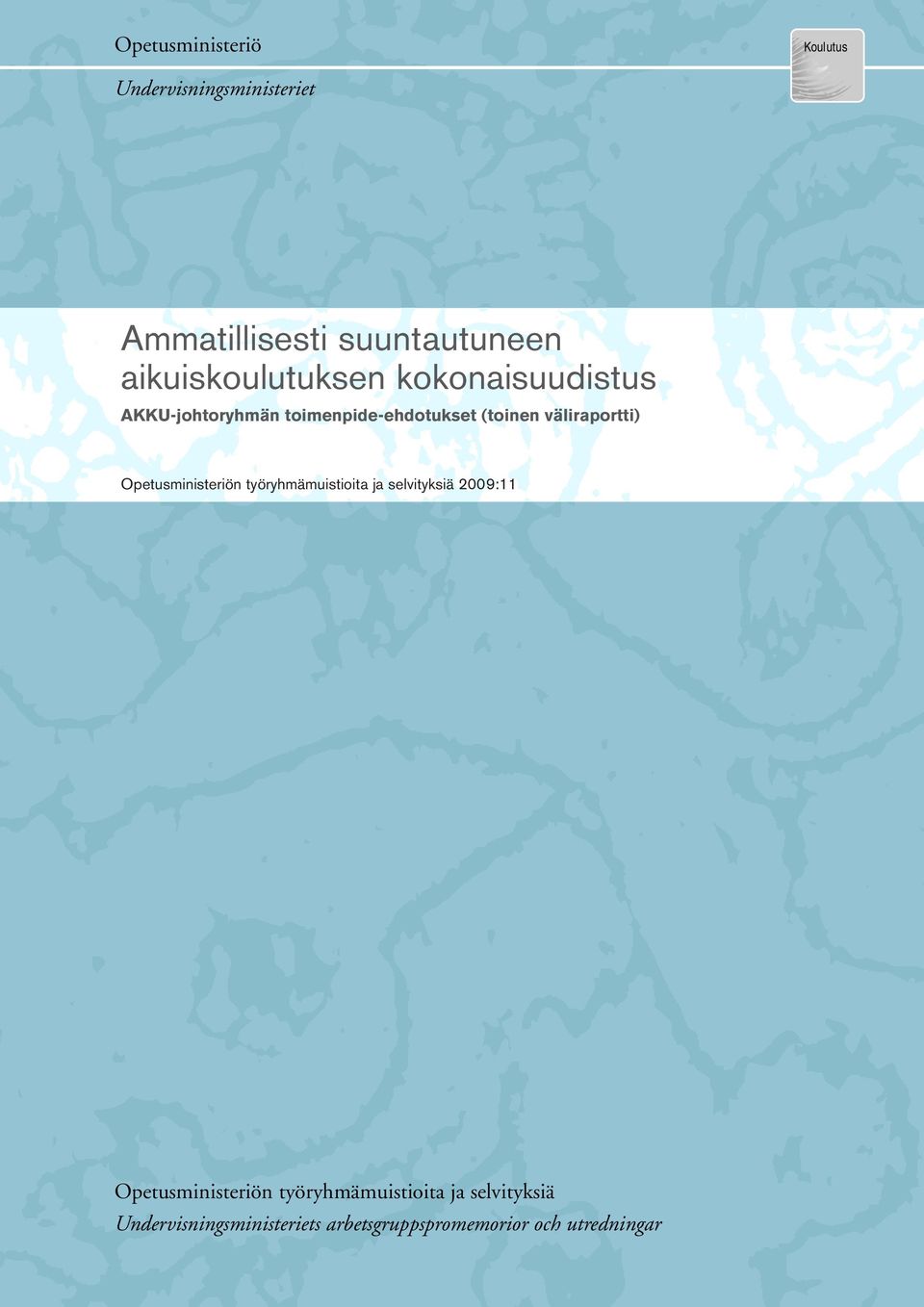 väliraportti) Opetusministeriön työryhmämuistioita ja selvityksiä 2009:11